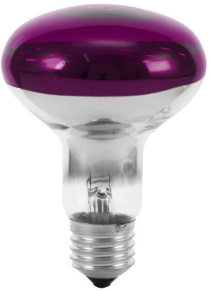 OMNILUX R80 230V/60W E-27 violett