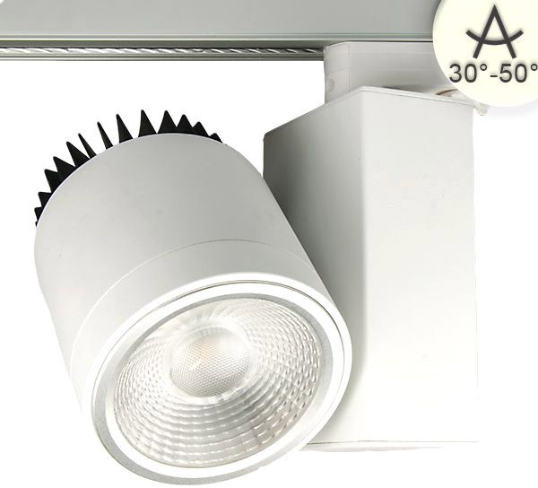 ISOLED 3-PH Schienen-Strahler Meat Light, 40W, 30°-50°, weiß matt