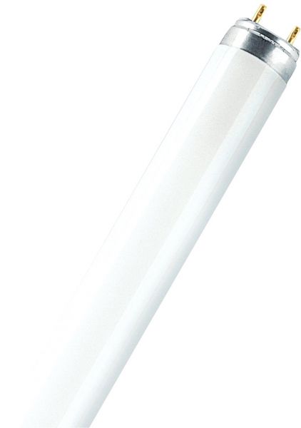 OSRAM LUMILUX® DE LUXE T8 58 W/965